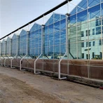 گلخانه همزیستی سبزیجات ماهی