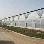 گلخانه Multispan