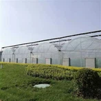 خانه سبز فیلم بزرگ