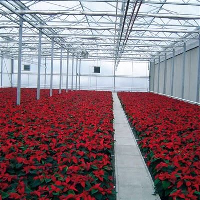 Solar Panel Glass Greenhouse