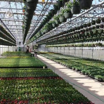 Solar Panel Glass Greenhouse