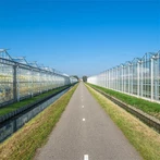 گلخانه کامپیوتر