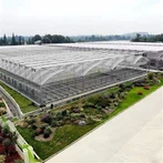 گلخانه فیلم سبزیجات