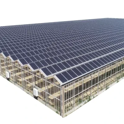Solar Energy Greenhouse