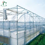 گلخانه پلی تونل
