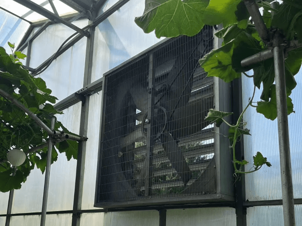 Smart Greenhouse For Sale Smart Greenhouse For Sale